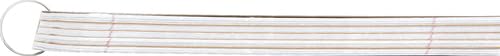 Top Flight Standards 5-Subject Wirebound Notebook, 180 Sheets, 3-Hole Punched, Wide Rule, 10.5 x 8 Inches, 1 Notebook, Color May Vary (31414) - size: 1 Count (Pack of 1)