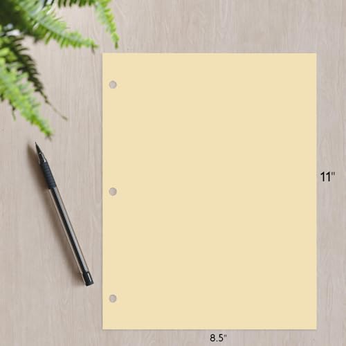 Copy Printing and Writing Colored Paper, 20 Pound - 75 Gsm, 3 Hole Punch, 500 Sheets per Ream. (Tan) - color: Tan