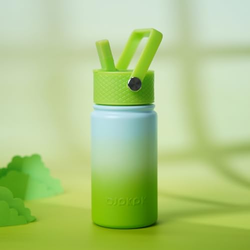 BJPKPK Insulated Water Bottle, 15oz Stainless Steel with Straw Lid | Leak Proof, BPA-Free, Vacuum Insulated, Keep Drink Cold & Hot, Metal Water Bottle for Travel, Gym, Office, Cupholder Friendly - color: Lime, style: N-15oz-Color Lid
