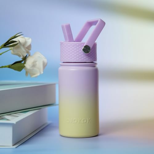 BJPKPK Insulated Water Bottle, 15oz Stainless Steel with Straw Lid | Leak Proof, BPA-Free, Vacuum Insulated, Keep Drink Cold & Hot, Metal Water Bottle for Travel, Gym, Office, Cupholder Friendly - color: Wisteria, style: N-15oz-Color Lid