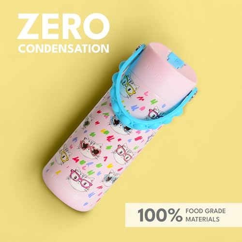 Elemental Insulated Kids Water Bottle, Stainless Steel Water Bottle with Straw Lid & Pop-It Handle, Leak-Proof Water Bottles for School, Boys or Girls, Travelling and Sports, 18oz - Stylish Cat - color: Stylish Cat