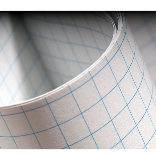 1InTheOffice Graph Paper Pad, Graphing Paper, Graph Paper Loose Leaf, Graph Paper Pads 8.5 x 11, Quad Ruled, 50 Sheets/Pad, 6 Pack