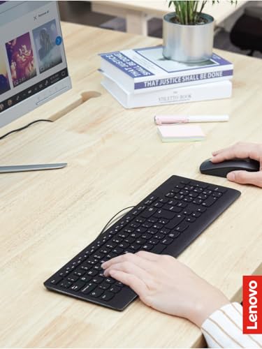 Lenovo 300 USB Keyboard, Wired, Adjustable Tilt, Ergonomic, Windows 7/8/10, GX30M39655, Black - style: Keyboard