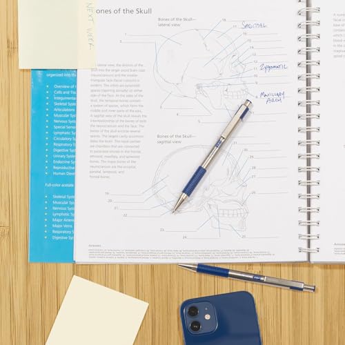 Zebra Pen F-301 STEEL Ballpoint Pen, Black/Blue/Red Ink, 0.7mm, 4-Pack - color: Assorted A