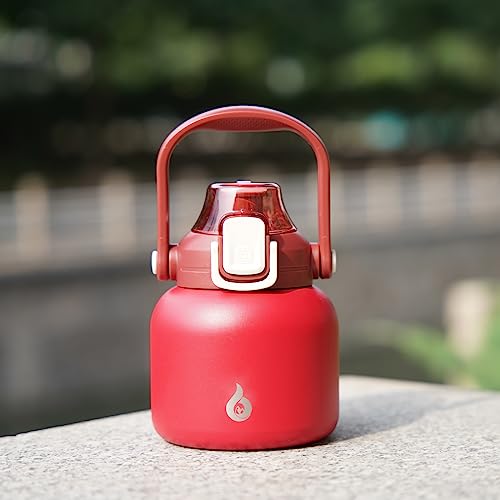BJPKPK Insulated Water Bottles with Straw, 20 oz Cute Water Bottles with Handle, BPA Free Stainless Steel Metal Jug, Easy Carry Flasks for Men & Women, Red - color: 20 ozRed, size: 20 Ounces