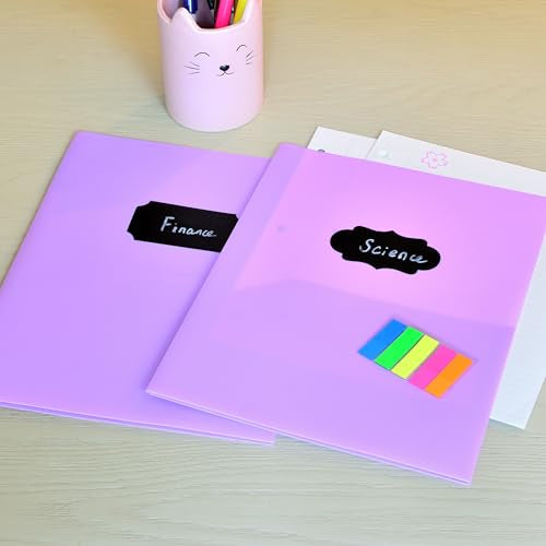 Youngever 6 Pack Heavy Duty Plastic Two Pocket Folders, Heavy Duty Plastic 2 Pocket Folder (Mauve) - color: Mauve