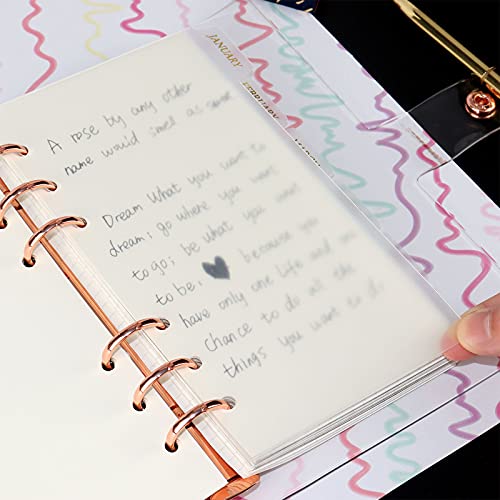 Koqye 12PCS Personal Binder Dividers with 6 Blank Tabs & Planner Stickers | 3.75" x 6.75", Plastic Side Tab Dividers Refillable Page Protectors for 6-Ring Binders, Planner, Agenda - color: Clear - 2 Sets