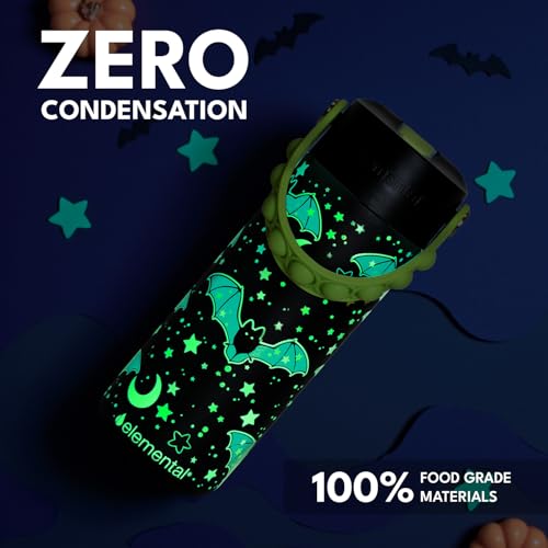 Elemental Insulated Kids Water Bottle, Stainless Steel Water Bottle with Straw Lid & Pop-It Handle, Leak-Proof Water Bottles for School, Boys or Girls, Travelling and Sports, 18oz - Glow Bats - color: Glow Bats