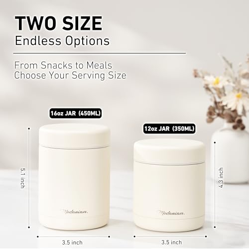 Stainless Steel Insulated Food Jar Set of 2 (16oz + 12oz) | Wide Mouth | Soup Thermo for Hot Food Lunch Container | Thermal LunchBox | Insulated Soup Bowl | Hot and Cold Lunch Box for Adults | SIlver - color: Silver Clouds