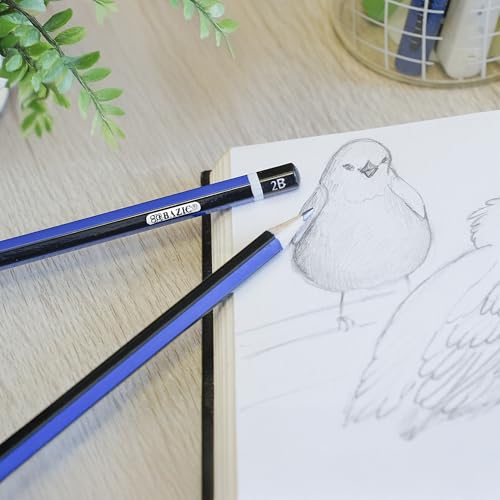 BAZIC PRODUCTS #2B Premium Wood Pencils, 12 Count, for Drawing | Softer #2B graphite for dark, bold lines, Wood barrel, fine point, shading, sketching, writing - size: 1 Count (Pack of 1)