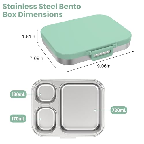 Pawtong Stainless Steel Bento Lunch Box for Kids | 3-Compartment Lunch Box Container Kids | 100% Leakproof, Eco-Friendly, Perfect Portion Control for Kids&Adult Healthy Meals (Green) - color: Green