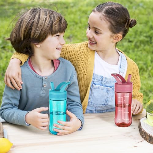 14oz Clear Kids Water Bottle with Straw Lid, BPA-Free Tritan, Measurement Scale, Sturdy Handle Wide Mouth Leak-proof Reusable Plastic Bottle for Boy& Girls, Back to School(Red) - color: Red