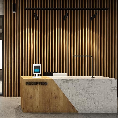 Mount-It! iPad Kiosk Stand, Anti-Theft Steel Countertop Enclosure, White | Locking POS Tablet Stand for Retail, Freestanding or Bolt-Down, 90 Deg Rotation, 75 Deg Tilt, iPad Pro, Air, Gen 7-11 - color: White