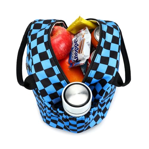 CAMTOP Boys Lunch Box Kids Insulated Lunch Bag Kids Cute Lunchbox for Boys Loncheras Para Niños - color: Blue Check