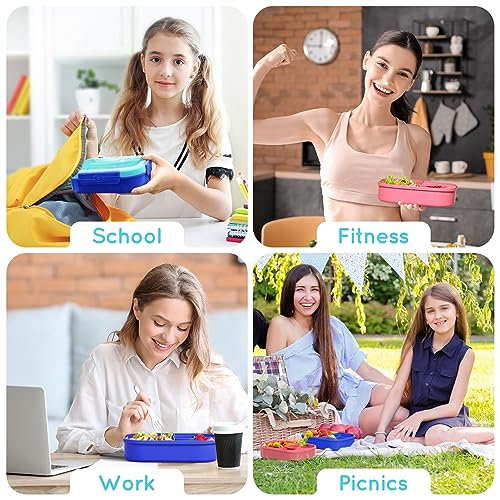 Bento Box Kid Adult Lunch Box 2 Pack, Leakproof Bento Lunch Container 4 Compartment Bento-Style Lunchbox with Utensil Set, On-the-Go Meal and Snack Packing for School, Work, Picnic - color: Pink & Blue