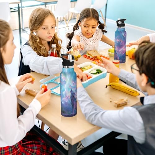 Kids Sport Water Bottle Wolf Lightning 20 oz Stainless Steel Cup Insulated Water Flask Travel Mug for Gym Travel School - color: Wolf