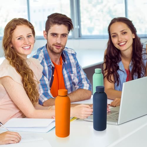 Bokon 10 Pcs Stainless Steel Water Bottle Bulk Teacher Employee Appreciation Gifts School Double Layer Vacuum 17 oz Small Mouth Sport Insulated Metal Reusable Flask Leakproof Lid - color: Trendy Color