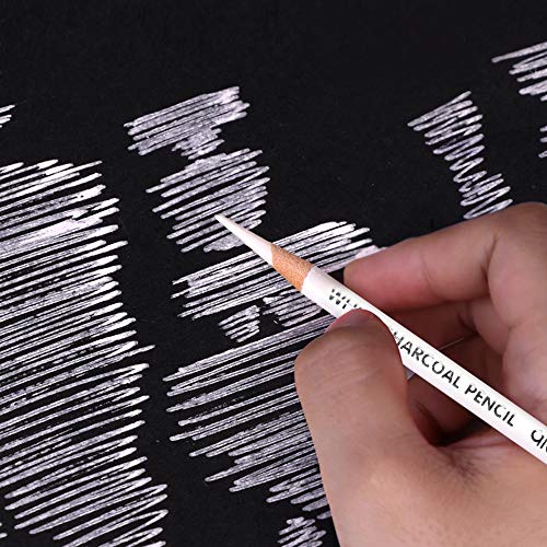 qianshan 2 Pcs Black White Color Charcoal Pencils, Professional Hight Quality Sketch Highlight Charcoal Wooden Pencils for Artist Drawing, Sketching, Blending, 2 Colors of 1 Black, 1White - color: 1 black+1 white charcoal