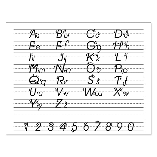 iScholar Multi-Method Primary Tablet, .625 Inch Ruling, 40 Sheets, 11 x 8.5 Inches (11802) - size: 0.625 Inch Ruling