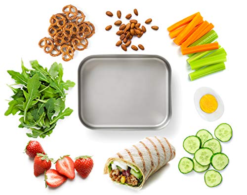 Bits Kits Stainless Steel Bento Box Lunch and Snack Container for Kids and Adults, 1 Compartment, 3 Cup Capacity, Color-Silver | For Kids & Adults | Easily Fits In Lunchboxes | Durable Stainless Steel | Dishwasher Safe | 3 Cup Capacity | On The Go - style