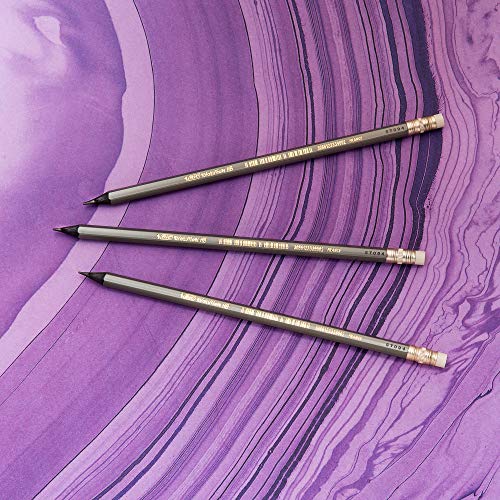BIC Evolution Cased Pencil, 2 Lead, Gray Barrel, 24-Count - color: Gray, size: 1 Count (Pack of 1)