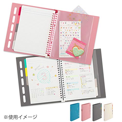 Maruman CLARTE B5 Size 26-Ring Binder, 5 Index Window Cover, with 5-tab dividers + 10 Loose Leaf Papers + 1 Clear Pocket, Gray, 1 EA (F311-11) (Pack of 2) - color: Gray, size: B5 (Pack of 2)