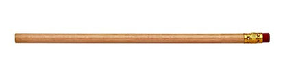 Pencil Guy Blank Round Pencils Natural | 144 to a box, Not Sharpened - color: Natural, size: 1 Count (Pack of 144), style: Not Sharpened