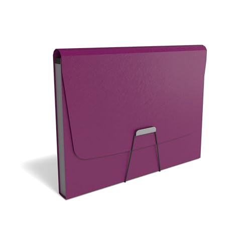 TRU RED Reinforced Plastic Accordion File, 13‑Pocket Expanding Organizer, Letter Size, Purple – 3/Pack