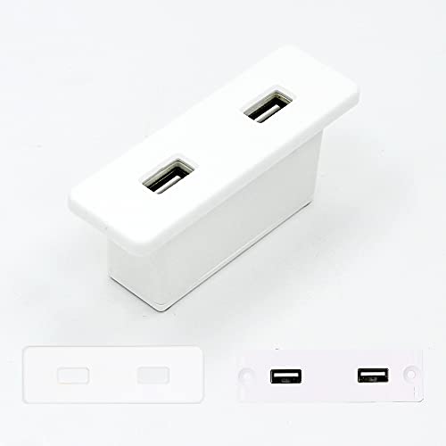 Powered USB Hub Socket Recessed USB Power Strip Outlet with Power Supply 2 USB Ports 2.1A Mounted into Bed Desk Table Sofa White - color: White