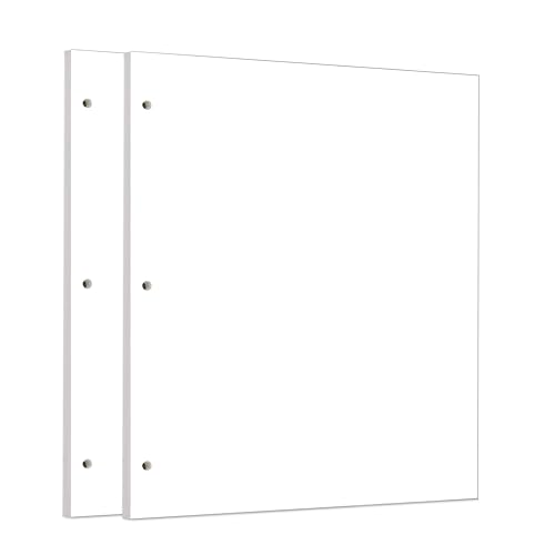 Zelten 2 Pack Letter 90 Sheets/180 Pages Sketch Loose Leaf Punched Paper Refills Paper for 3 Hole Binder Personal Organizer Diary Notebook Refillable Planner - color: Sketch, size: Letter/3 Hole