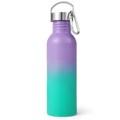 Volhoply 26oz Uninsulated Single Walled Water Bottle, Stainless Steel Reusable Water Bottles with Handle & Carabiner, BPA Free Wide Mouth Water Bottles for Gym Sports Camping（Purple Green,1） - color: Purple Green