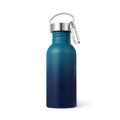 Volhoply 20oz Uninsulated Single Walled Water Bottle, Stainless Steel Reusable Water Bottles with Handle & Carabiner, BPA Free 18/8 304 Sports Water Bottles for Camping Hiking（Dark Night,1） - color: Dark Night