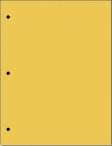 Copy Printing and Writing Colored Paper, 20 Pound - 75 Gsm, 3 Hole Punch, 500 Sheets per Ream. (Gold) - color: Gold