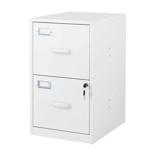 BYNSOE 2 Drawer File Cabinet with Lock Vertical Filing Storage Office Home Steel Vertical File Cabinets for Letter Size File Cabinet Locked,Assembly Required - color: White, size: 2 Drawers-Light-duty