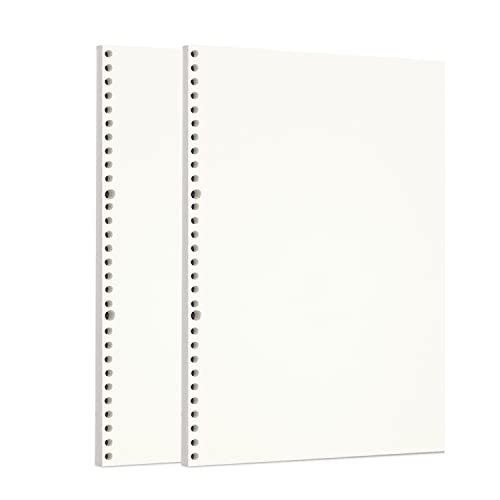 Zelten 2 Pack A4 90 Sheets/180 Pages Blank Loose Leaf Punched Paper Refills Paper for 30 Hole Binder Personal Organizer Diary Notebook Refillable Planner - color: Sketch, size: A4/30 Hole