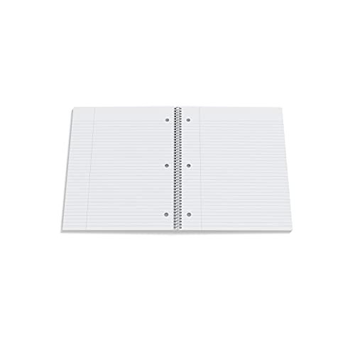 STAPLES Premium 2‑Subject Notebook, 8.5” x 11”, College Ruled, 120 Sheets, Blue Cover – Multi‑Section Writing Notebook - color: Blue, size: 1 Pack