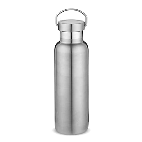 Neihepal Silver Stainless Steel Water Bottles,20 Ounce Vacuum Insulated Double Wall Travel Bottle with Leak Proof Lid of Handle,Metal Reusable Standard Mouth Flask Thermoses for School,Hikers,Gift - color: Silver