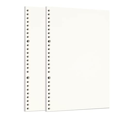Zelten 2 Pack B5 120 Sheets/240 Pages Blank Loose Leaf Punched Paper Refills Paper for 26 Hole Binder Personal Organizer Diary Notebook Refillable Planner - color: Sketch, size: B5/26 Hole