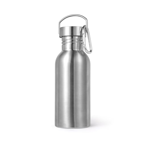 Volhoply 20oz Uninsulated Single Walled Water Bottle, Stainless Steel Reusable Water Bottles with Handle & Carabiner, BPA Free 18/8 304 Sports Water Bottles for Camping Hiking(Silver,1) - color: Silver