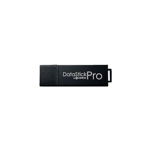 1TB DataStick Pro by Centon, USB 3.2 Gen1 Flash Drive Memory Stick for Storage and Backup - size: 1 TB (Pack of 1)