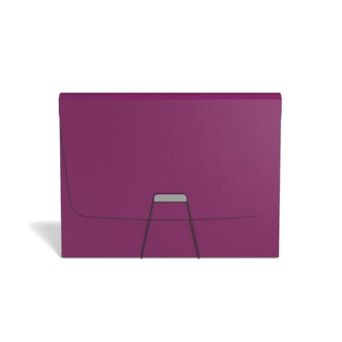 TRU RED Reinforced Plastic Accordion File, 13‑Pocket Expanding Organizer, Letter Size, Purple – 3/Pack