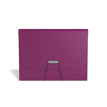 TRU RED Reinforced Plastic Accordion File, 13‑Pocket Expanding Organizer, Letter Size, Purple – 3/Pack