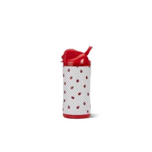 HydroJug Ease2o 14oz Kids Water Bottle with Straw & Chug Lid, Ladybyg - color: Ladybug