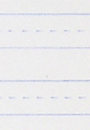 School Smart-85353 Skip-A-Line Ruled Writing Paper, 3/8 Inch Ruled Short Way, 8 x 10-1/2 Inches, White, Pack of 500 - size: 8" x 10.5" - 3/8" Ruled