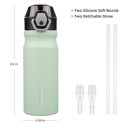 BJPKPK Stainless Steel Insulated Water Bottle with Straw Lid 18oz Reusable Metal Thermal Flask Bottles Keep Cold and Hot,Sage - color: Sage, size: 18 Ounces