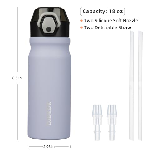 BJPKPK Water Bottle with Straw 18oz Insulated Water Bottles Reusable Stainless Steel Metal Thermal Flask with Leak Proof Lockable Lid and Carry Handle,Iceberg - color: A-Iceberg, size: 18 Ounces