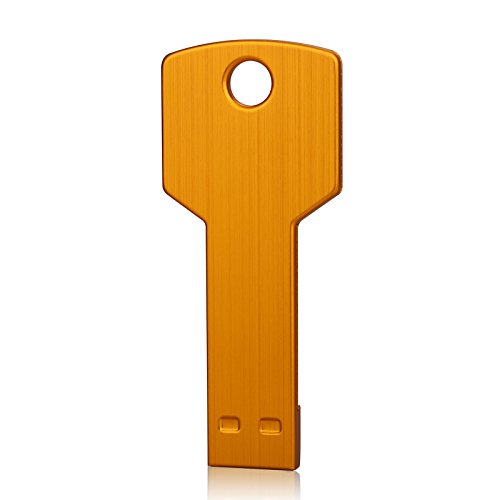 RAOYI 10 Pack 2GB USB Flash Drive USB 2.0 Metal Key Shape Memory Stick Thumb Drive Pen Drive-Gold - color: Gold, size: 2GB