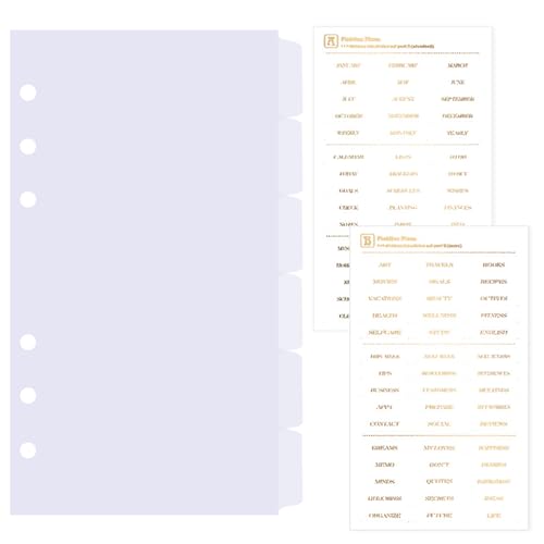 DY.2ten Clear 6-Tab Dividers for 6 Ring Binder, A6 Index, 6 Hole Sturdy Plastic Insertable Notebook Planner Tabs