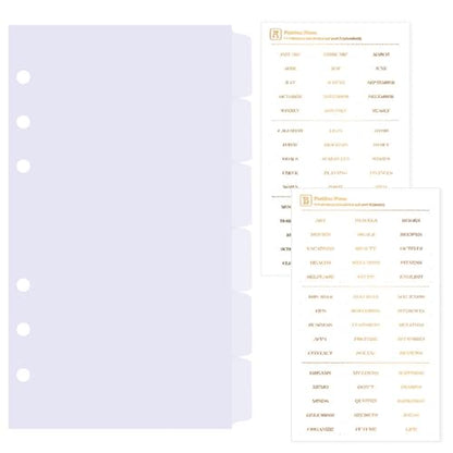 DY.2ten Clear 6-Tab Dividers for 6 Ring Binder, A6 Index, 6 Hole Sturdy Plastic Insertable Notebook Planner Tabs