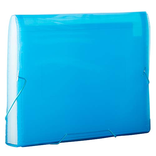 JAM PAPER 아코디언 폴더 - 13 포켓 플라스틱 확장 파일 - 레터 사이즈 - 22.9 x 33cm(9 x 13인치) - 블루 그리드 - 개별 판매 - color: 블루., size: Letter Size